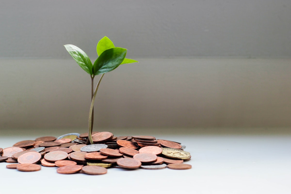 Amortizar crédito habitação ou investir em depósitos a prazo: o que compensa mais em 2026?